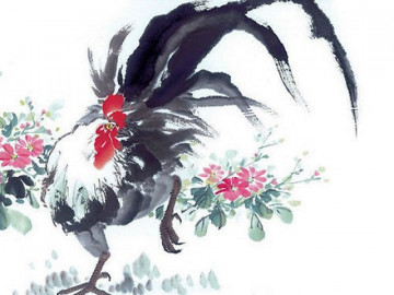 Sinh năm 1993 hợp màu gì? Nên chọn màu gì để sơn nhà?