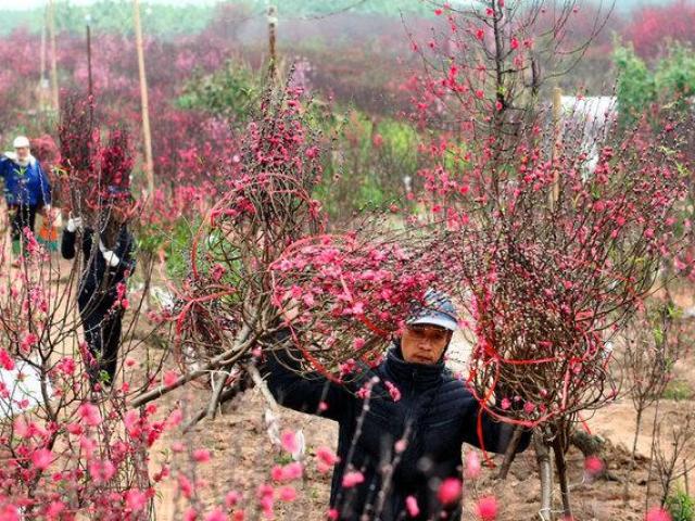 Thông tin chính thức, đầy đủ về lịch nghỉ Tết Dương lịch, Nguyên đán năm 2020