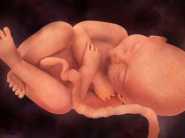 Dấu hiệu thai lưu trong bụng mẹ cảm nhận sớm tránh biến chứng - 1