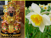 Nhà đẹp - Những loại hoa đánh thức tài lộc, sáng đặt bàn thờ Thần Tài chiều gặp may