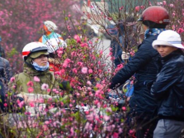 Thời tiết Tết Nguyên Đán năm nay: Miền Bắc có thể đón rét đậm, rét hại