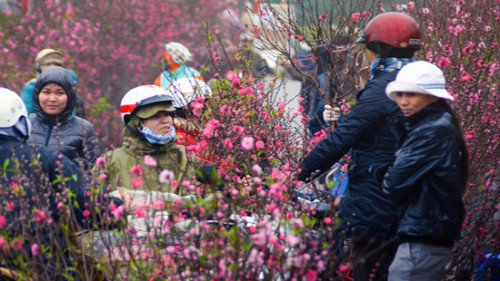 Thời tiết Tết Nguyên Đán năm nay: Miền Bắc có thể đón rét đậm, rét hại - 1