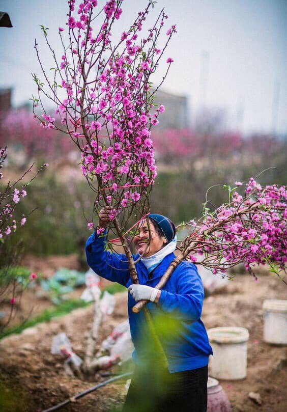 Tháng 2 năm 2020 có bao nhiêu ngày? - 1