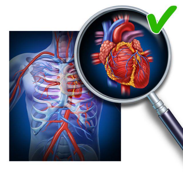 10 tác dụng amp;#34;thần thánhamp;#34; của hạt chia: giàu canxi hơn sữa, giúp giảm cân lại tốt cho tim - 7