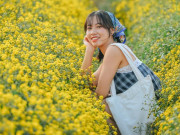 Xem ăn chơi - Cận Tết, chị em nô nức lên đồ chụp ảnh cùng hoa cúc tiến vua vàng rực rỡ