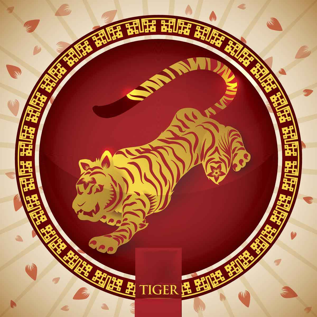 SAO CHIẾU MỆNH CỦA TUỔI NHÂM DẦN TRONG NĂM 2020