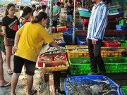Lifestyle - Chợ hải sản “không mặc cả” trên đảo Nam Du