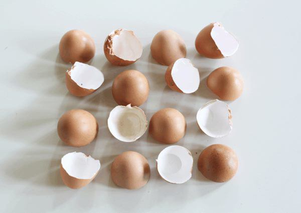 Ăn trứng xong vứt bỏ đi là dại, gom lại làm theo cách này đỡ tốn tiền triệu - 4