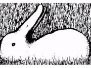 Eva tám - Bạn nhìn thấy con vật gì đầu tiên trong tranh?