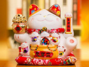 Eva tám - Tử vi tuổi Mão năm Canh Tý 2020: Đổi vận nhờ quý nhân, cẩn trọng tiểu nhân ngáng đường