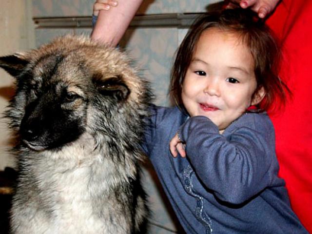 Cuộc sống mới của bé gái lạc 2 tuần trong rừng, sống nhờ quả dại và chú chó trung thành