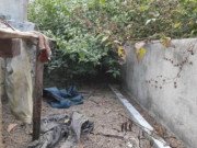 Tin tức - Hàng xóm tiết lộ 3 ngày Tết ăn chơi trác táng của nhóm sát hại nữ sinh giao gà