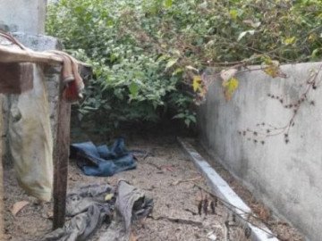 Hàng xóm tiết lộ 3 ngày Tết ăn chơi trác táng của nhóm sát hại nữ sinh giao gà