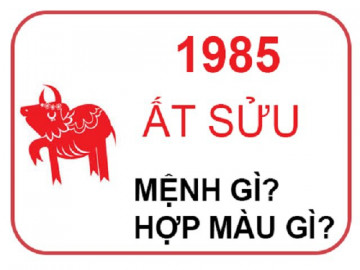 Sinh năm 1985 hợp màu gì khi xây nhà để năm 2020 tiền bạc rủng rỉnh quanh năm?