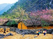 Xem ăn chơi - Những điểm du lịch lý tưởng tại miền Bắc trong dịp Tết 2020