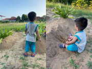 Tin tức - Đứng trước mộ bố mẹ, bé trai ngây thơ liên tục gọi: "Mẹ ơi" khiến nghìn dân mạng đau xót