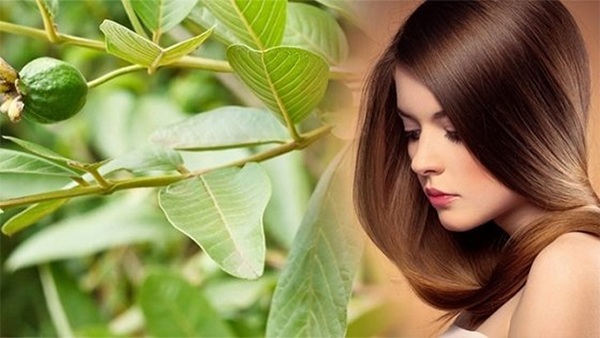 14 cách trị rụng tóc tại nhà nhanh nhất từ nguyên liệu thiên nhiên - 5