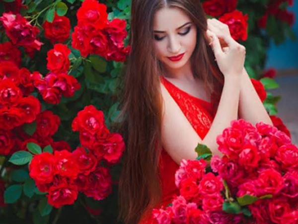 Hoa hồng đỏ – Ý nghĩa của tình yêu sâu đậm thủy chung