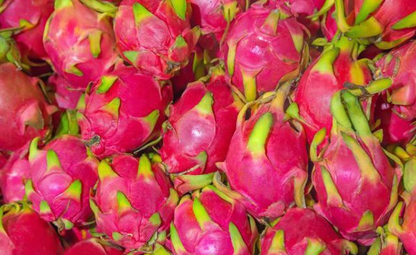 Đừng nghe lời người bán, mua thanh long phải nhìn 4 điểm này để tránh amp;#34;mất tiền oanamp;#34; - 2