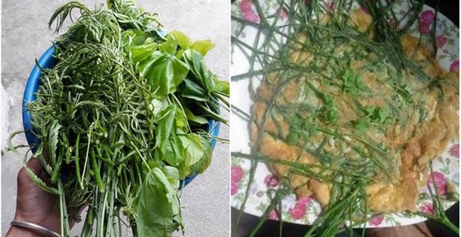 Việt Nam có 10 loại rau rừng mọc dại giá amp;#34;đắt cắt cổamp;#34;, có tiền chưa chắc đã mua được - 2