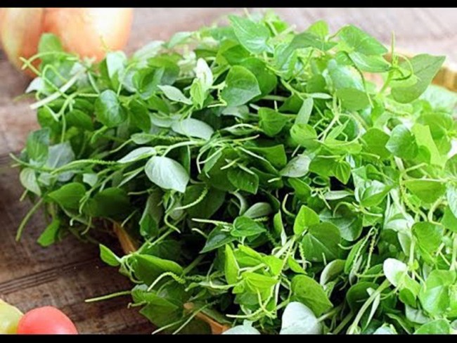 Việt Nam có 10 loại rau rừng mọc dại giá amp;#34;đắt cắt cổamp;#34;, có tiền chưa chắc đã mua được - 6