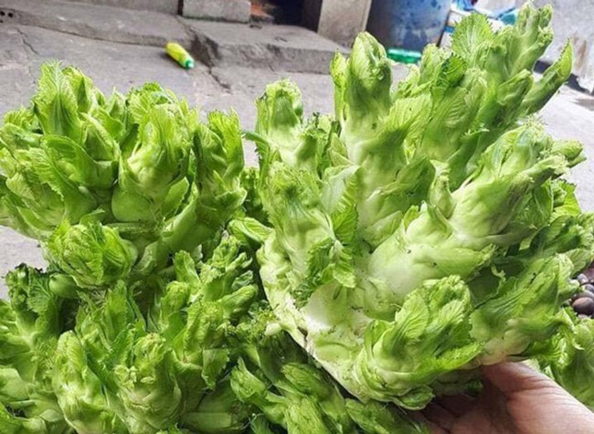 Việt Nam có 10 loại rau rừng mọc dại giá amp;#34;đắt cắt cổamp;#34;, có tiền chưa chắc đã mua được - 16
