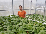 Nhà đẹp - Gia đình trẻ biến sân thượng trống thành "khu vườn trên mây"