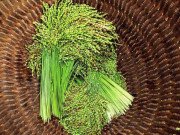 Xem ăn chơi - Tây Bắc mùa lúa chín: 5 đặc sản "ăn là mê", loại thứ 3 phải cả gan mới dám thử