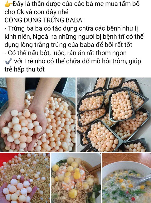 Hàng loạt bài bán trứng baba trên chợ mạng với những lời quảng cáo “có cánh”, thu hút sự quan tâm của các chị em.