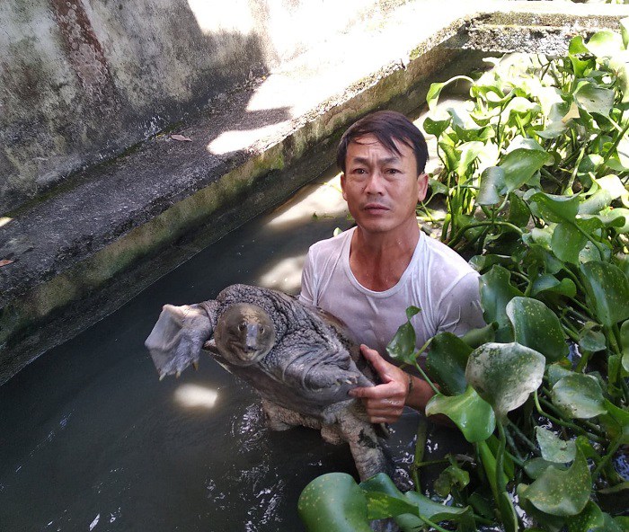 Ông Phan Ngọc Chiến