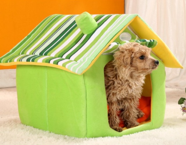 Chuồng chó Poodle