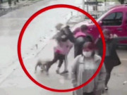 Clip Eva - Bé gái bị chó pitbull cắn xé giữa phố, hàng chục người lao vào giải cứu