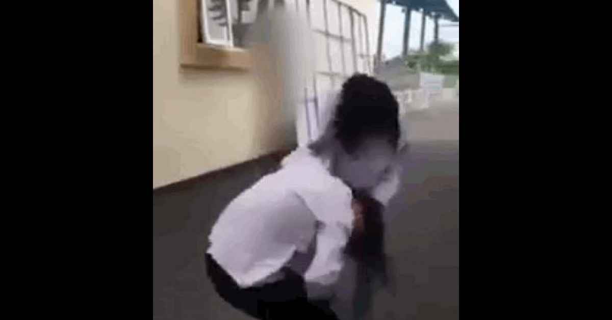 Clip Eva - Hai nữ sinh túm tóc đánh nhau túi bụi, nam sinh đứng ngoài cổ vũ