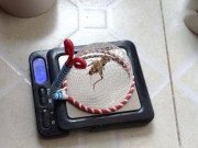 Tiêu dùng - Biến thứ giá “0 đồng” thành "miếng vàng biết đi", chàng trai tậu được 2 căn nhà