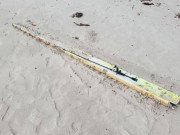 Tin tức - Vụ bí ẩn MH370: Phát hiện mảnh vỡ lạ ở bờ biển, kỳ vọng tìm thấy máy bay xấu số