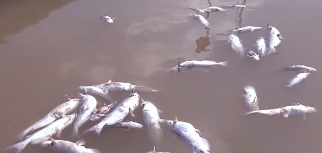 Lý do gì khiến Quỳnh Kool cứ bên amp;#34;người tình cũamp;#34; là lại rơi nước mắt? - 4