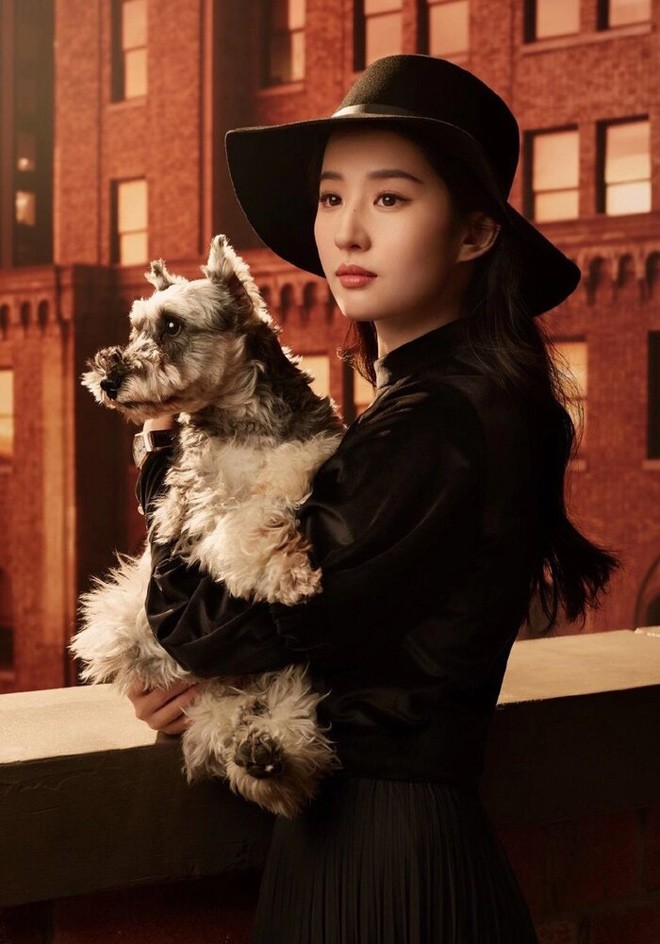 Ngôi sao 24/7: Khéo như Lưu Diệc Phi, không giải thích chỉ cần nhìn khiến ai cũng câm nín - 5