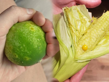 11 bức ảnh chứng tỏ thiên nhiên là những điều bí ẩn không ngừng khiến con người kinh ngạc