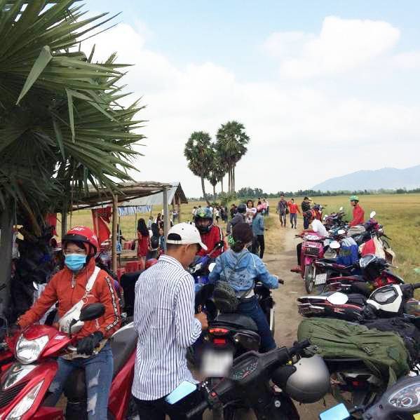 Rủ ngay hội bạn thân tới “sống ảo” với cây thốt nốt hình trái tim ở An Giang! - 5