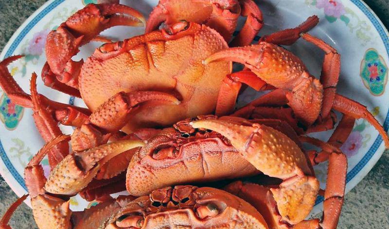 Cua núi đá ăn lá rừng: Đặc sản Hà Giang, ngon hơn cua biển - 1