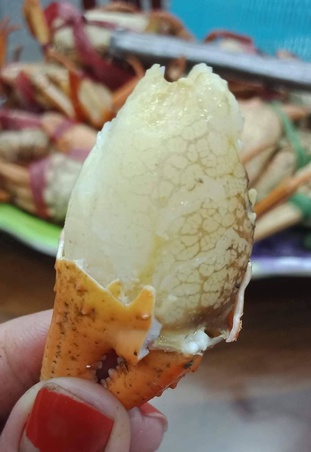 Cua núi đá ăn lá rừng: Đặc sản Hà Giang, ngon hơn cua biển - 4