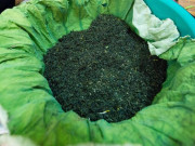 Tiêu dùng - Đại gia Hà Nội tìm mua “đệ nhất trà” đắt nhất Việt Nam giá 10 triệu đồng/kg