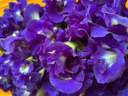 Tiêu dùng - Hoa dại bờ rào đem sấy khô, bán nửa triệu đồng/kg