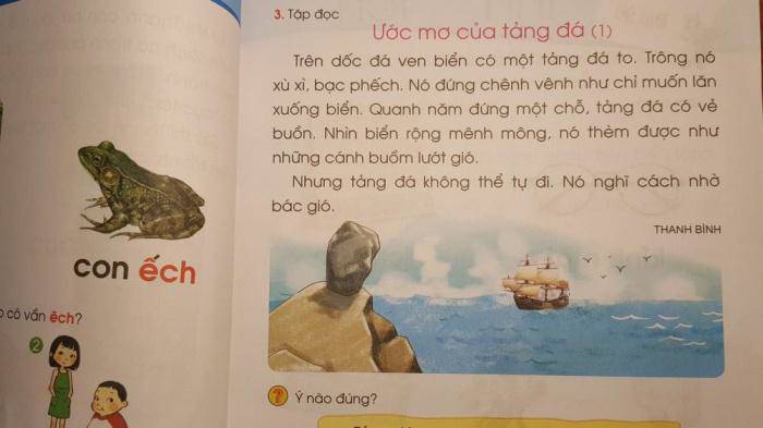 Dậy sóng vì SGK Tiếng Việt lớp 1: Bộ trưởng GDamp;ĐT yêu cầu gì? - 1