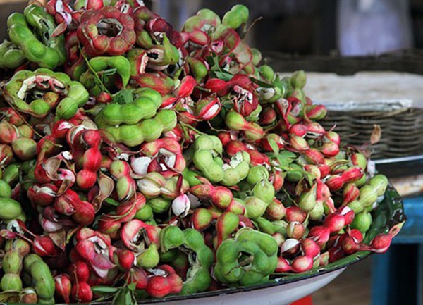 Việt Nam có 8 quả dại gắn với tuổi thơ 8X,9X, nghe tên lạ hoắc nhiều người không nhận ra - 4