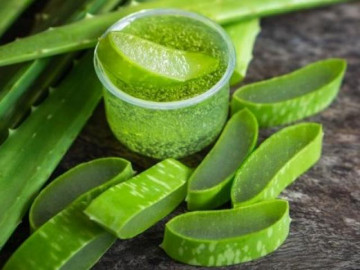 Nhiều người chỉ biết dùng nha đam làm đẹp mà không biết những đại kỵ này rất dễ rước họa