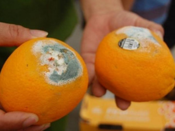 Đây là trái cây gây hại cho gan hơn rượu, rút ngắn tuổi thọ mà nhiều người vẫn cố ăn