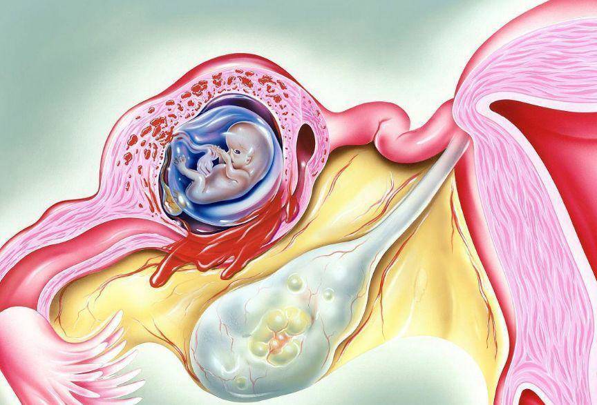 Chiều theo sở thích của bạn trai khi làm amp;#34;chuyện ấyamp;#34;, gái trẻ chịu hậu quả khủng khiếp - 4