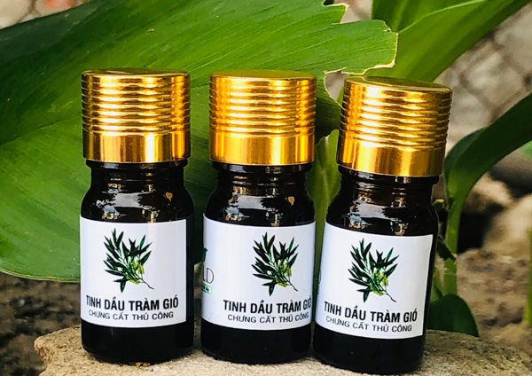 Để làm ra một lít tinh dầu tràm phải mất 2-3 tạ lá tràm nên giá của chúng không hề rẻ. 