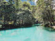 Xem ăn chơi - Việt Nam sở hữu con suối xanh mướt hiếm có, ai đến cũng trầm trồ ngỡ ngàng